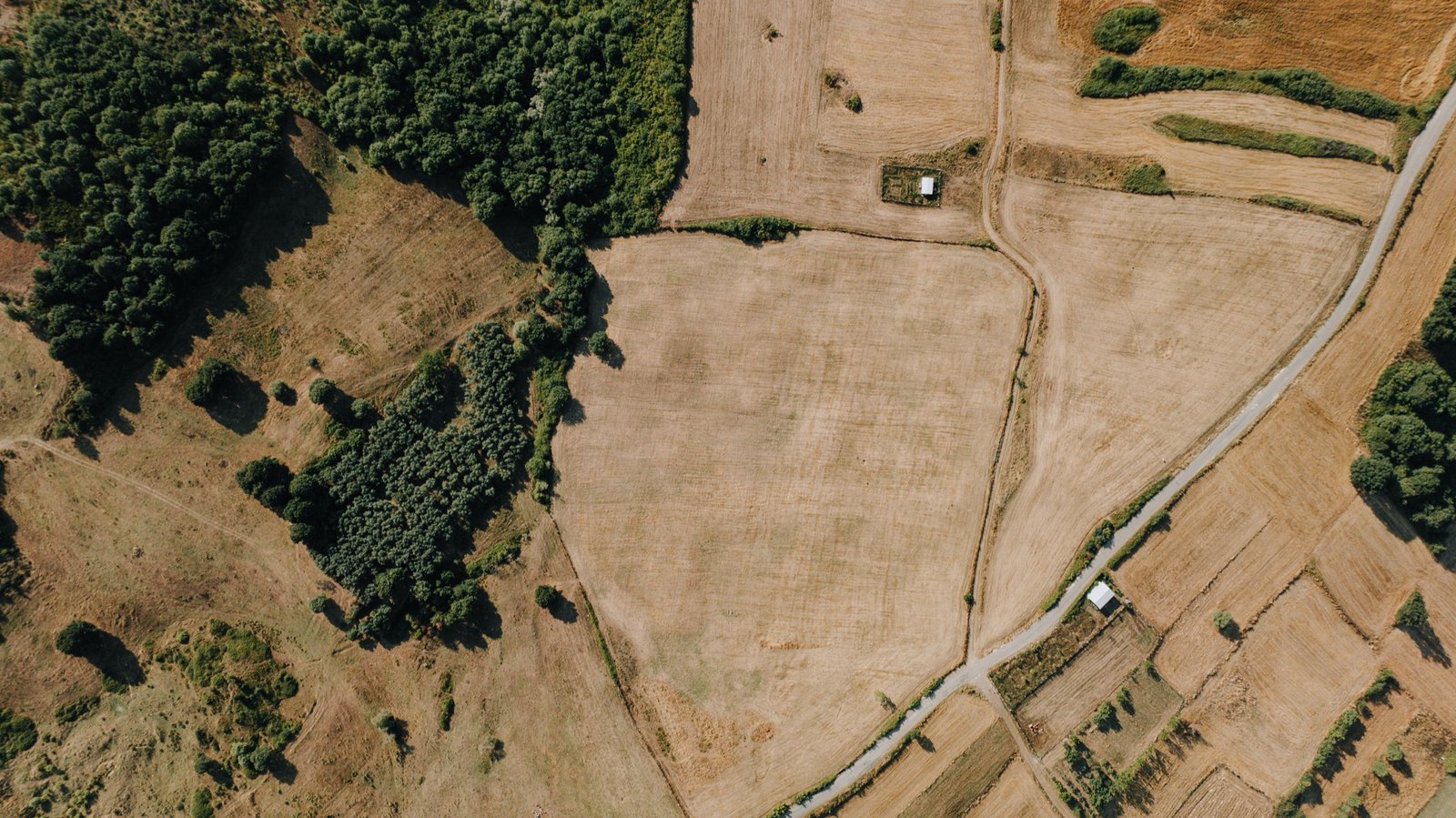 El mismo terreno visto desde arriba, transformándose paso a paso